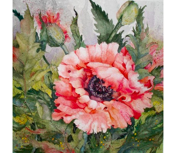 Beki Killorin "Sorbet Ice"